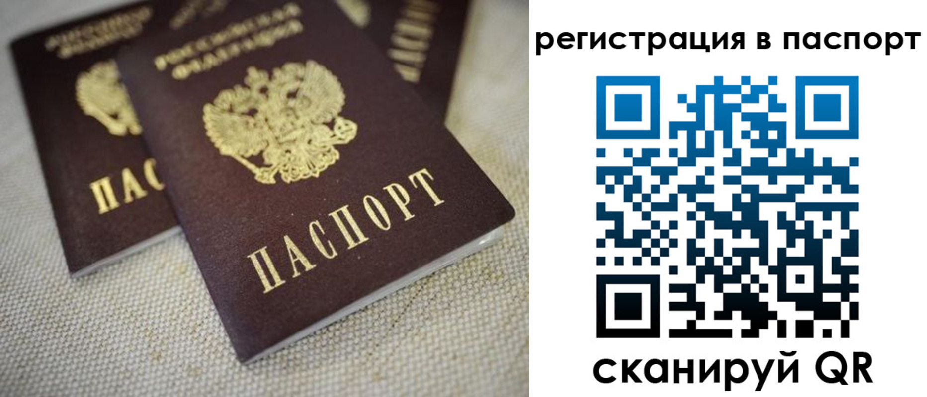 прописка гарантия в Почепе